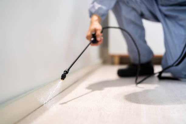 Licensed Termite Control service in Yakima, WA - Nex Pest Control
