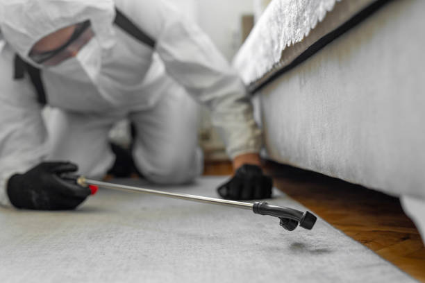 Professional Termite Control technician working in Yakima, WA