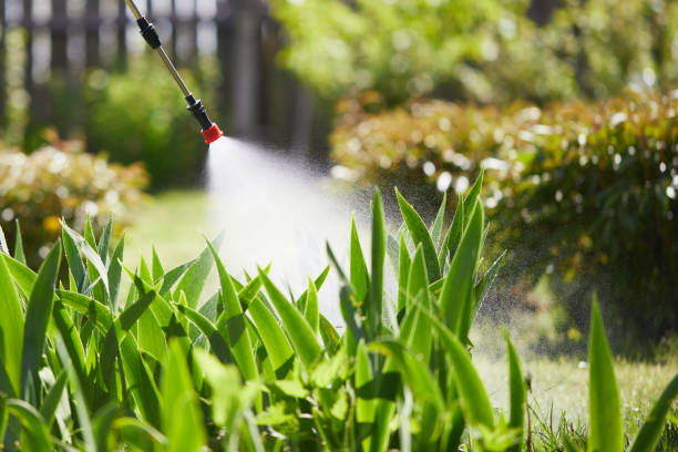 24/7 Emergency Termite Control experts in Yakima, WA
