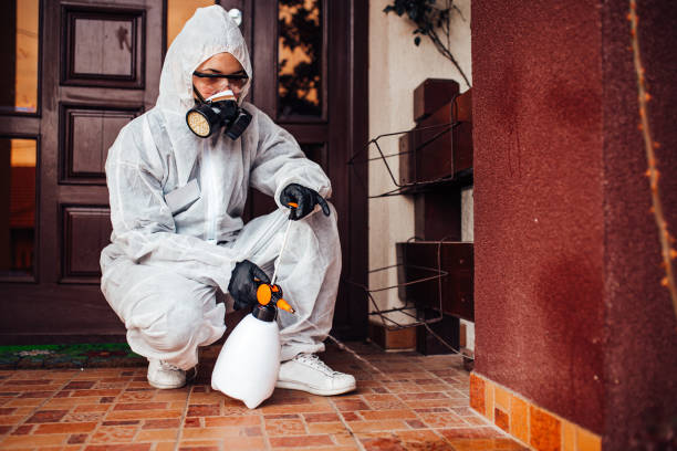 Reliable Termite Control contractor in Yakima, WA by Nex Pest Control